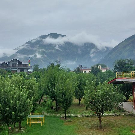Gazing Moon Homestay Shamshi Екстер'єр фото